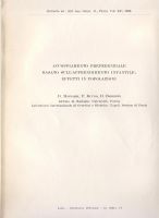 Ingrandisci l'immagine