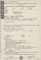 Ingrandisci l'immagine