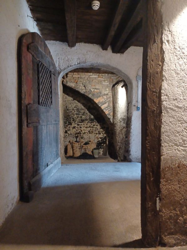Ingrandisci l'immagine