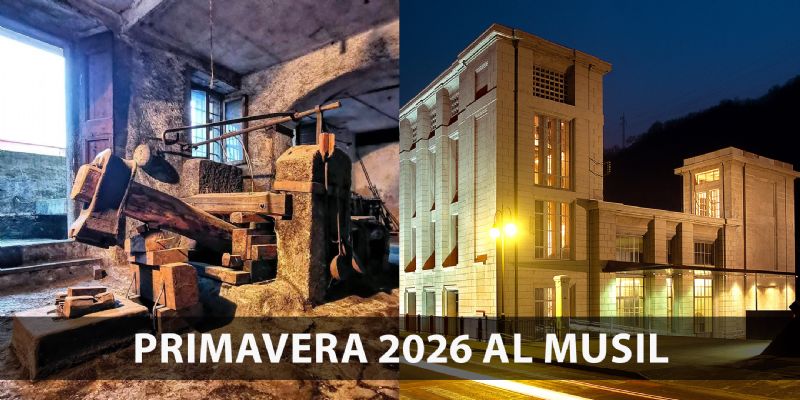 Immagine relativa alla news